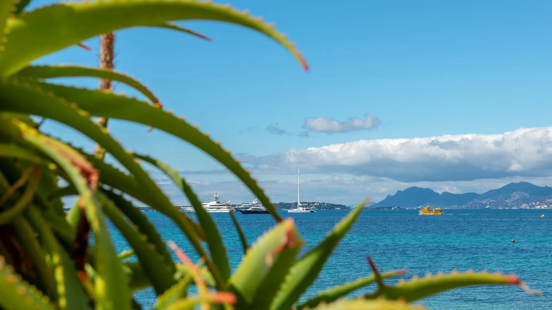 Le 1932 Hotel & Spa Cap D'Antibes - Mgallery Juan-les-Pins